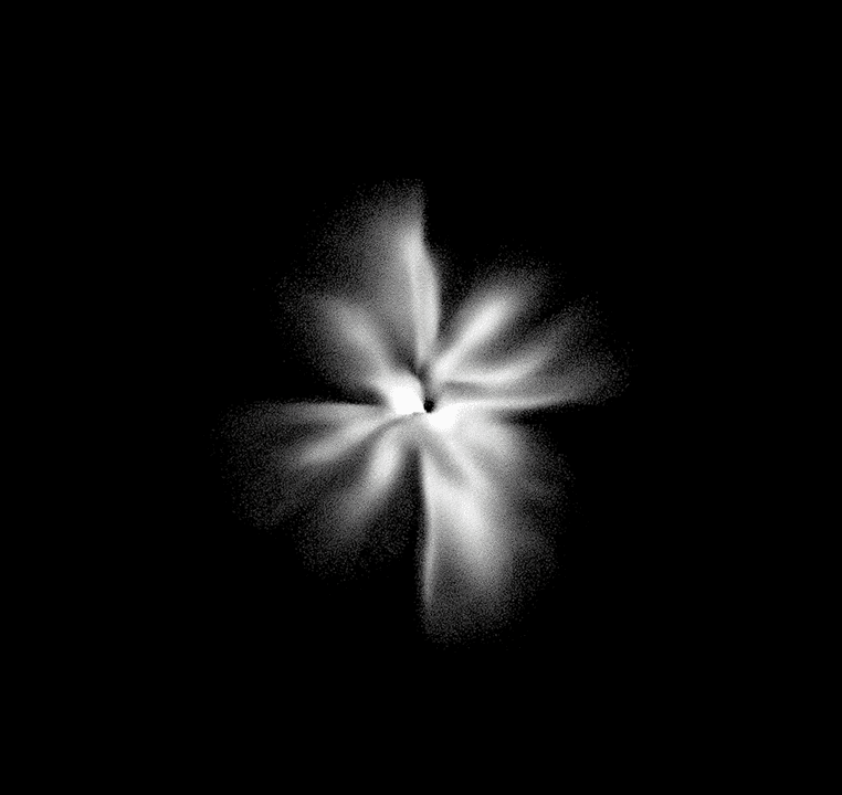 Your Domain, Our Engine